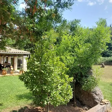 Villa Vintage Gazatika